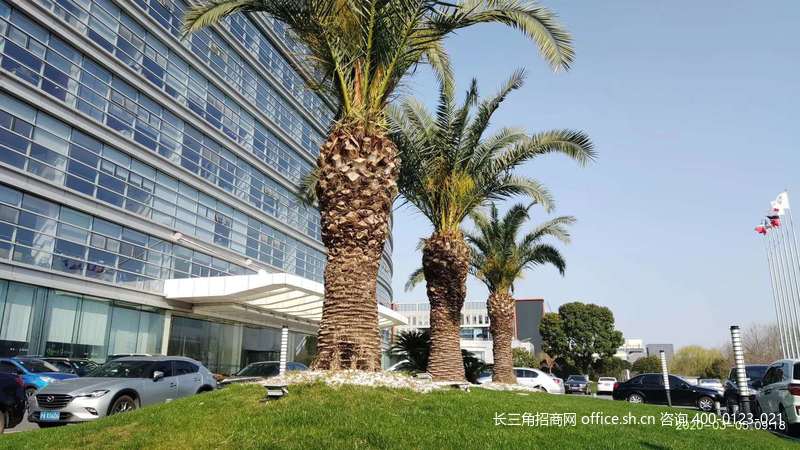 G2706 ٴBaI@^h悶·Ԫ· аlkS 100ƽ